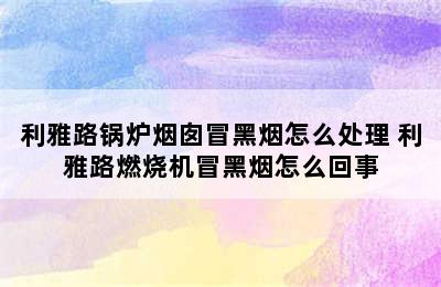 利雅路锅炉烟囱冒黑烟怎么处理 利雅路燃烧机冒黑烟怎么回事